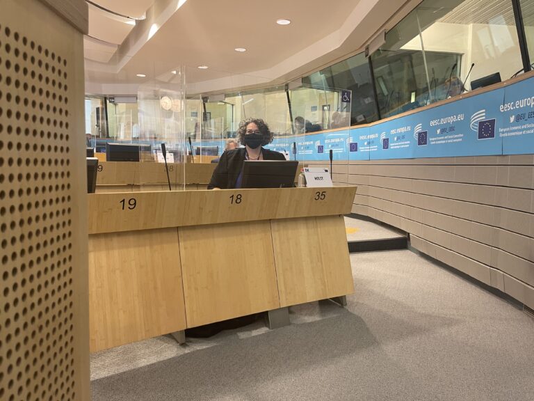 Sif Holst in the EU Parliament in Brussels