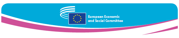 Hearing on EU’s Disability Strategy